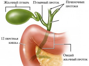диета при удалении желчного пузыря