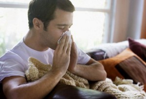 gribok i gripp